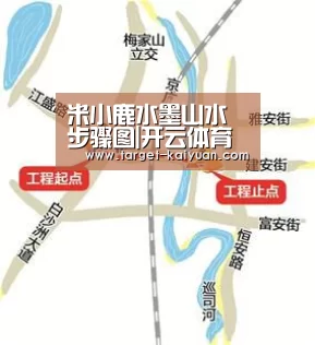 开云体育互动