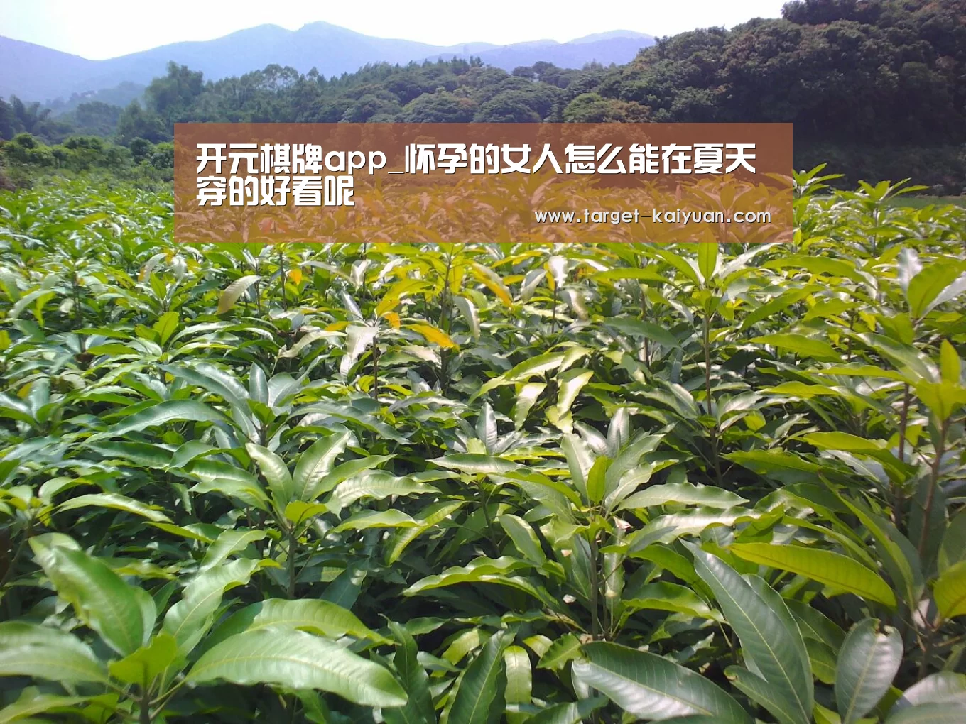 开元棋牌app_怀孕的女人怎么能在夏天穿的好看呢(图4) 开元棋牌app