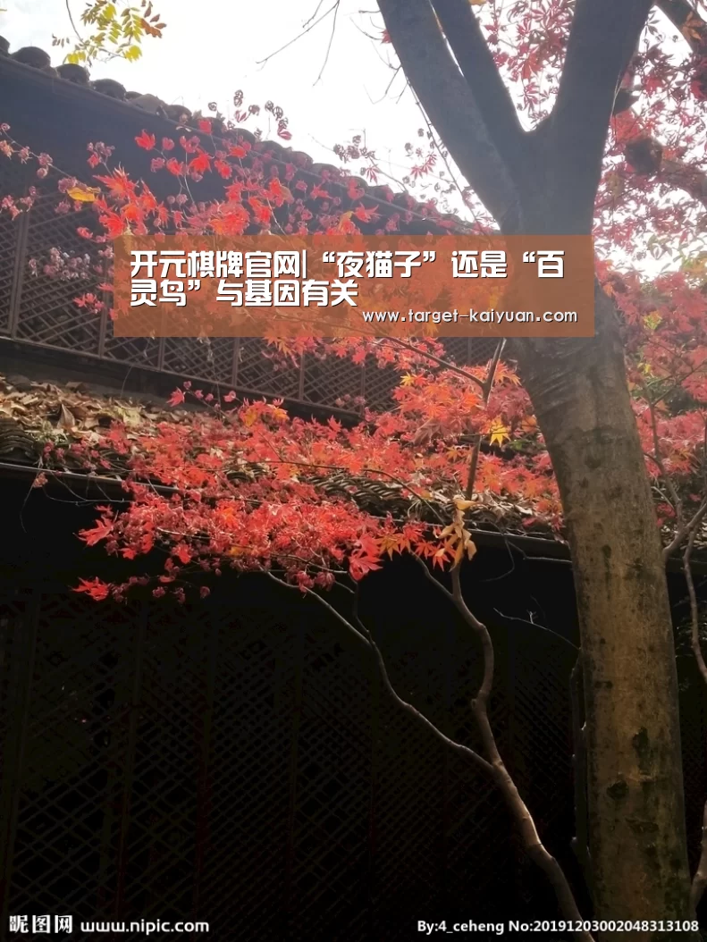 开元棋牌官网|“夜猫子”还是“百灵鸟”与基因有关(图1) 开元棋牌官网