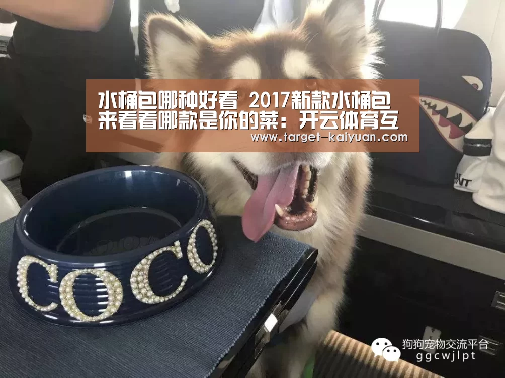 水桶包哪种好看 2017新款水桶包来看看哪款是你的菜:开云体育互动(图4) 开元棋牌官网