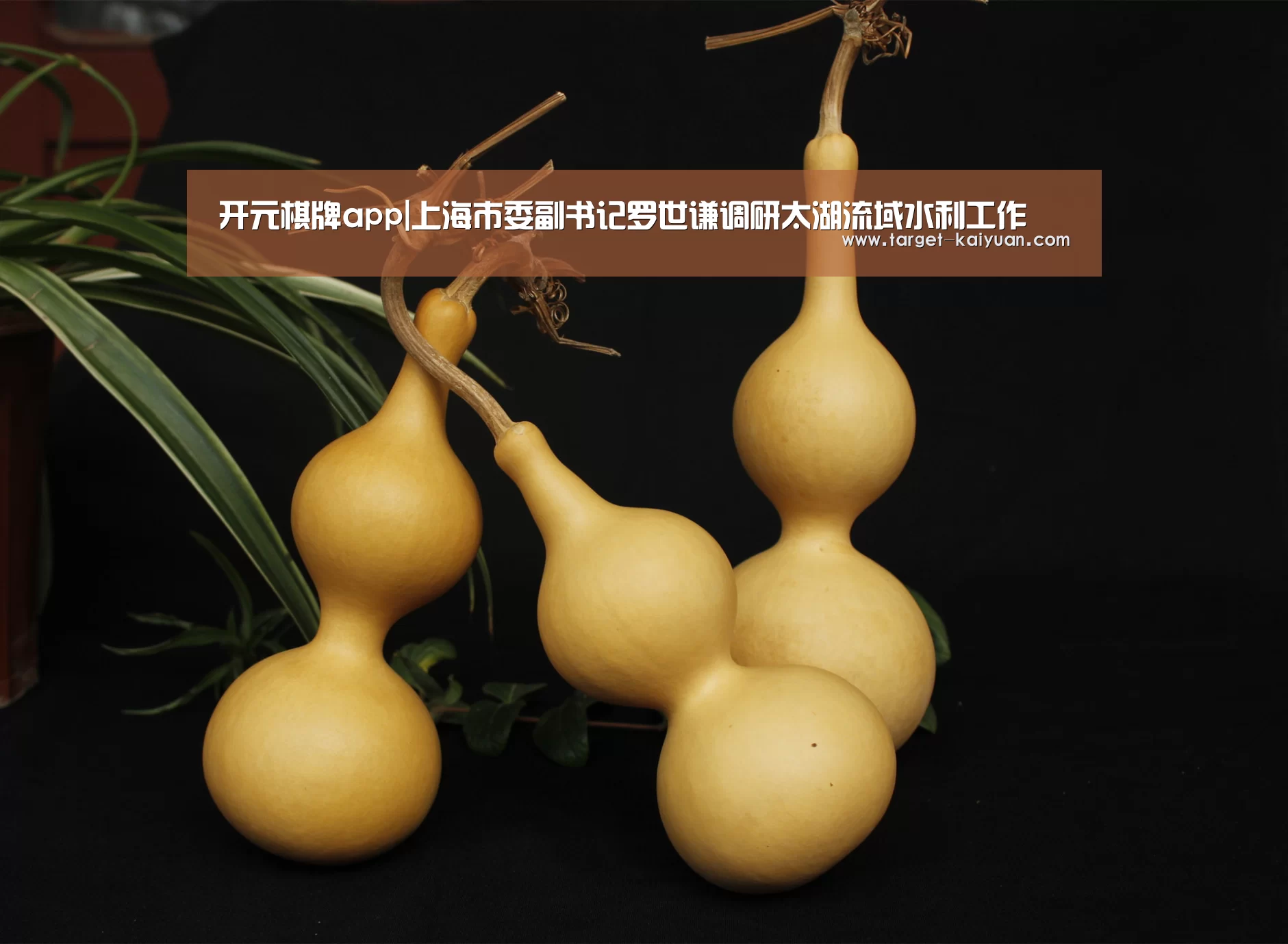 开元棋牌官网