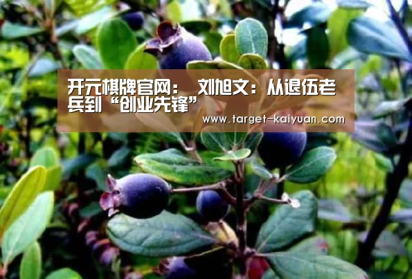 开元棋牌app