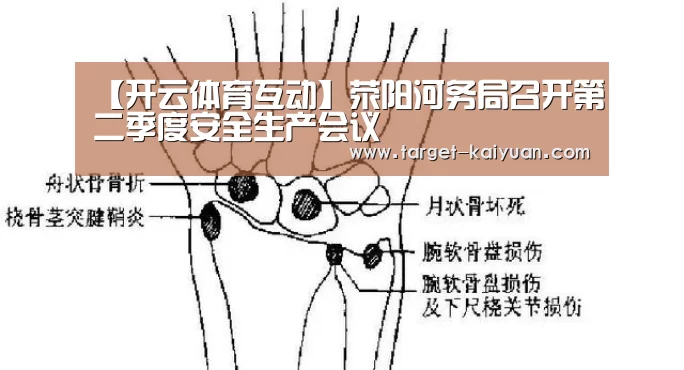 【开云体育互动】荥阳河务局召开第二季度安全生产会议(图1) 开元棋牌app