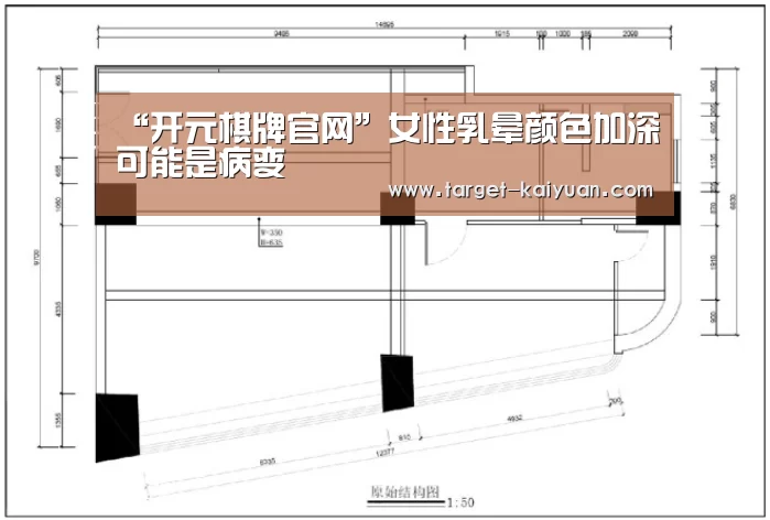 开云体育互动